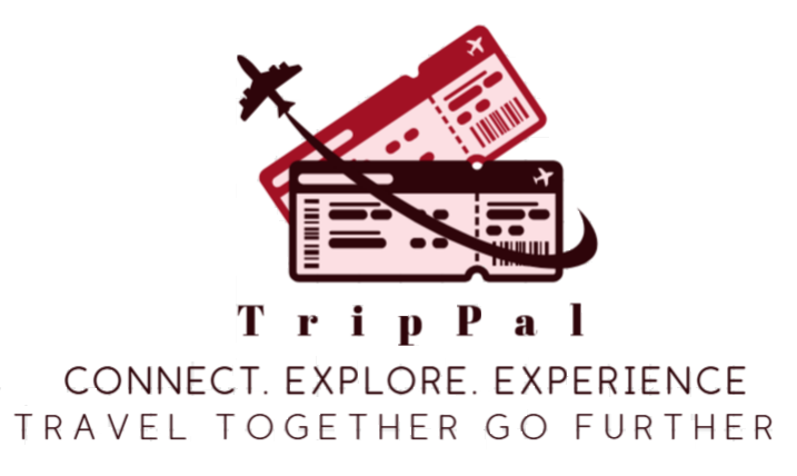 web logo